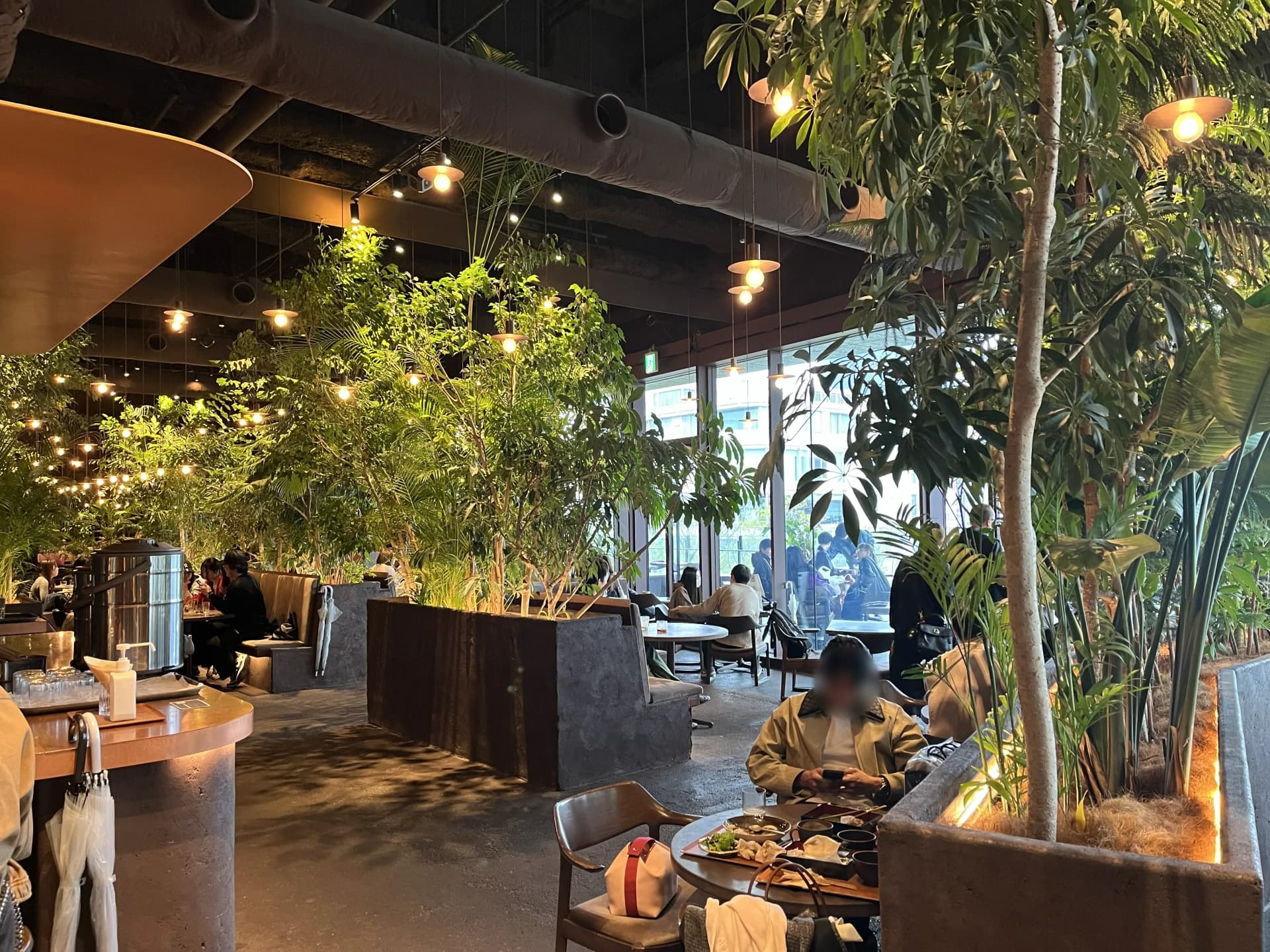 表参道で空間重視なら候補に入る。平日向きの GYRE.FOOD uni 作業レビュー